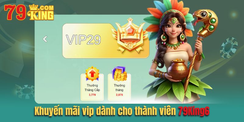 Khuyến mãi vip dành cho thành viên cao cấp tại 79king6