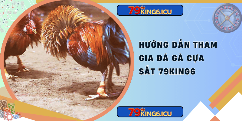 Hướng dẫn tham gia đá gà cựa sắt 79king6