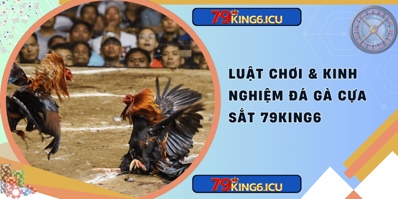 Luật chơi & kinh nghiệm đá gà cựa sắt 79king6