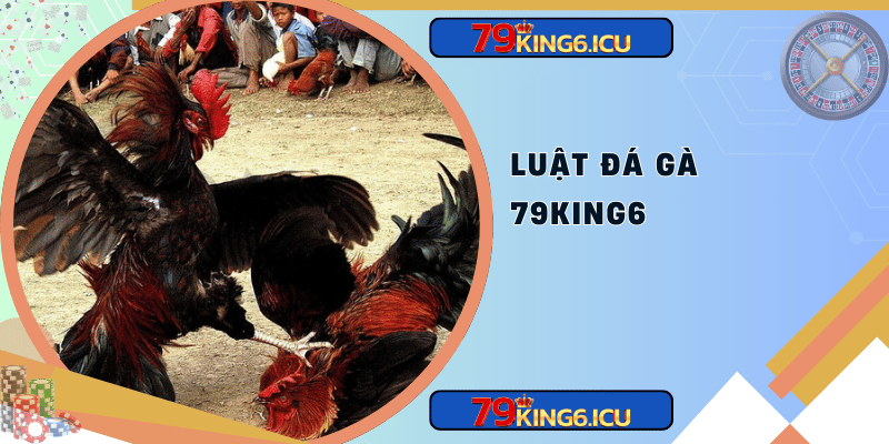 Luật đá gà 79king6