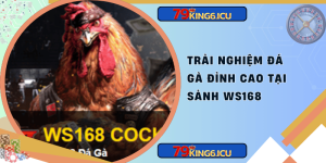 Trải nghiệm đá gà đỉnh cao tại sảnh ws168