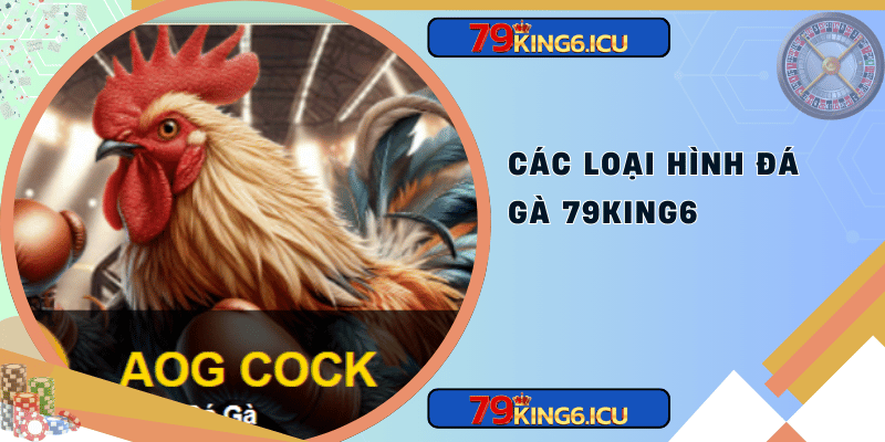 Các loại hình đá gà 79king6